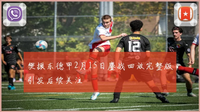 樊振东德甲2月15日鏖战回放完整版引发后续关注